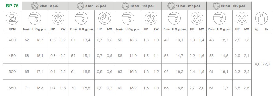 COMET PUMP BP75 DETAILS OF PERFORMANCES AND OUTPUT